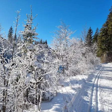Dg Bergeblicke Brauneck
